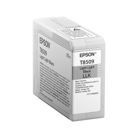 Epson Singlepack Light Light Black T850900 UltraChrome HD ink 80ml SC-P800 - C13T850900