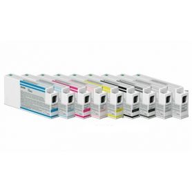 Epson Singlepack Gray T800900 UltraChrome PRO 700ml - C13T800900