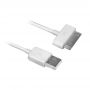 EWENT Cabo USB 2.0 para Apple 30 pins, 1 metro - EW9903