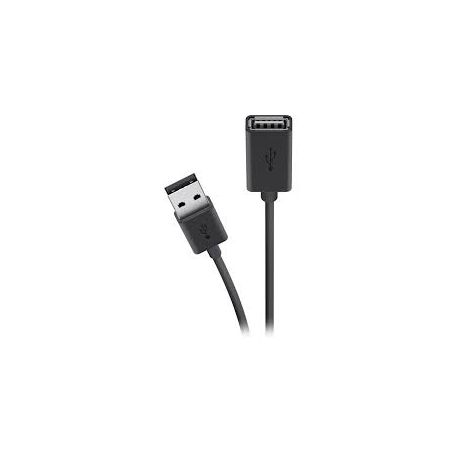 Belkin - Cabo de extensão USB - USB (M) para USB (F) - USB 2.0 - 1.8 m