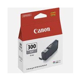 Canon PFI-300 Pro Séries - Grey ink tank - 4200C001